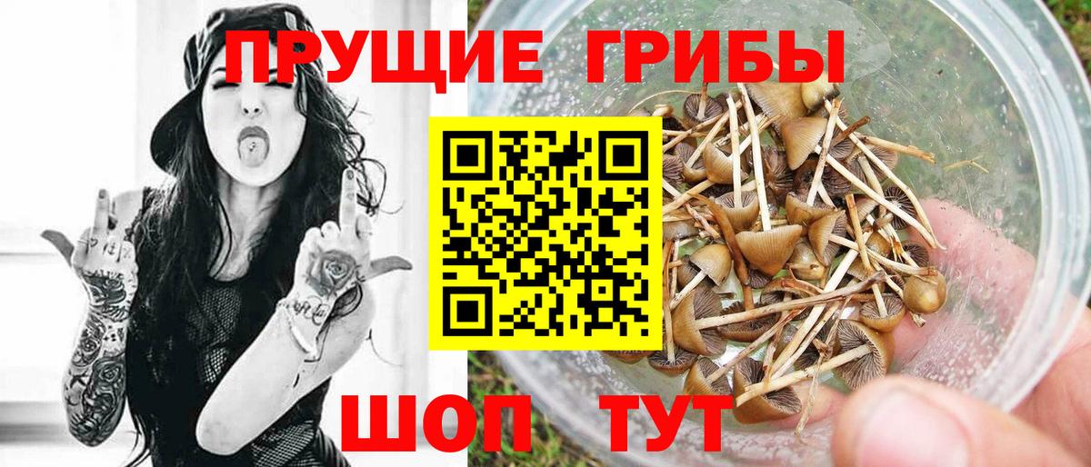 Псилоцибиновые грибы GOLDEN TEACHER  Вход с VPN  Советский  Галлюциногенные грибы Magic Shrooms 